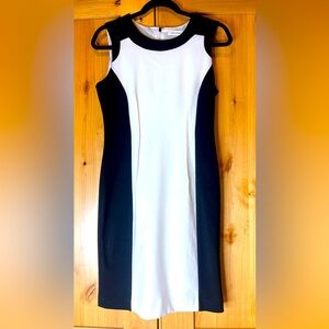 Calvin Klein Work Dress